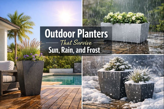 Large outdoor planter on patio in full sun