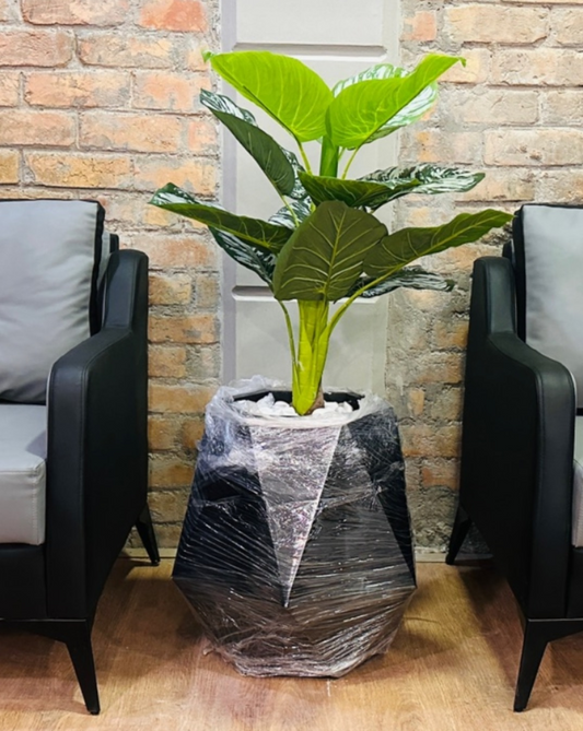 Black diamond faceted planter with large-leaf plant, modern statement planter for indoor décor.